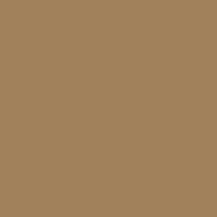 Vallejo - Model Color - 138 - Desert Brown - Image 2