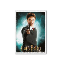 DS Sleeves (100) Harry Potter - Harry - Image 3