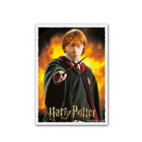 DS Sleeves (100) Harry Potter - Ron - Image 3