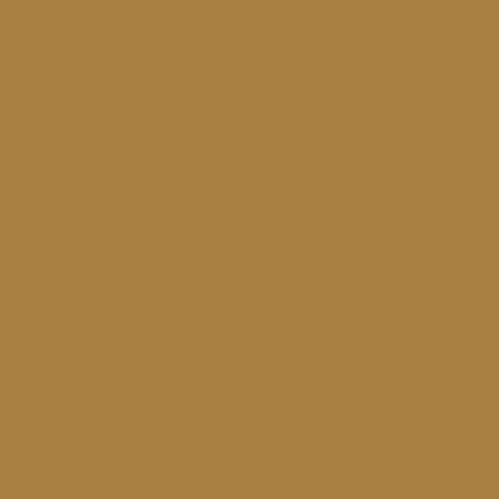 Vallejo Model Colour - Goldbrown 17 ml Old Formulation - Image 2