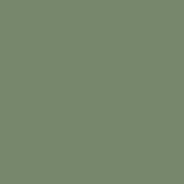 Vallejo - Model Air - IDF Green 17 ml - Image 2