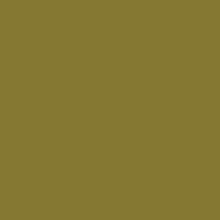 Vallejo - Game Color - Camouflage Green - Image 2
