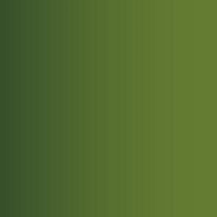 Vallejo - Game Color - Orc Skin - Image 2