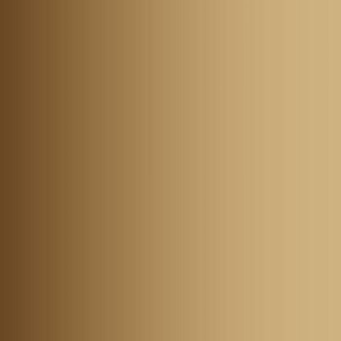 Vallejo - Game Color - Bag of Bones - Image 2