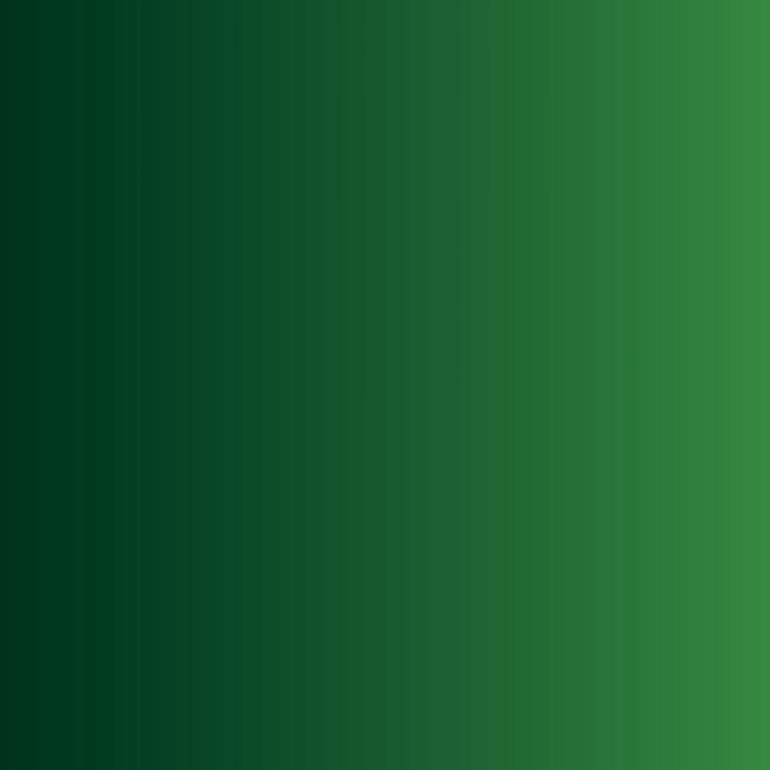Vallejo - Game Color - Forest Green - Image 2
