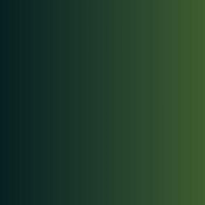 Vallejo - Game Color - Armor Green - Image 2