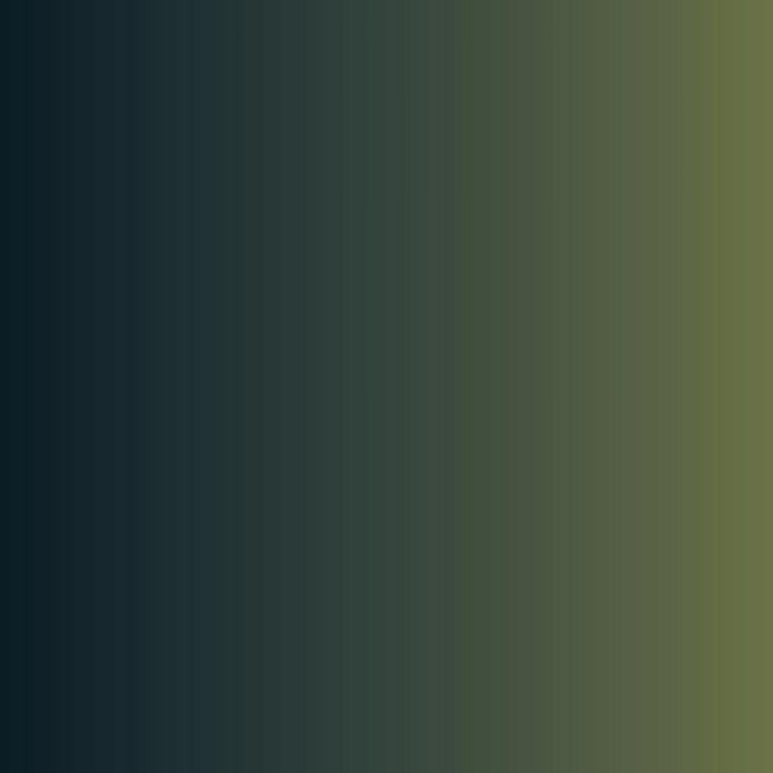 Vallejo - Game Color - Xpress Color - Commando Green - Image 2