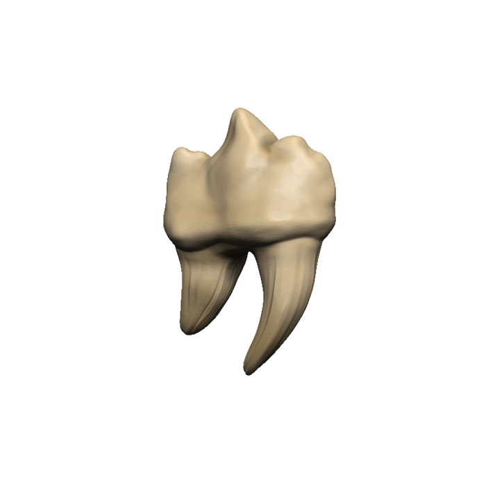 D&D Replicas of the Realms: Teeth of Dahlver-Nar Artifact