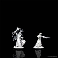 D&D Nolzur's Marvelous Miniatures: Female Elf Wizard - Image 3