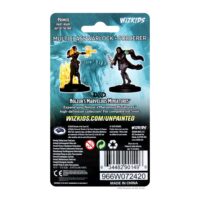 D&D Nolzur's Marvelous Miniatures Minis: Multiclass Warlock + Sorcerer - Image 2
